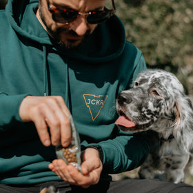 CAMPFIRE COMPANIONS • winter hoodie